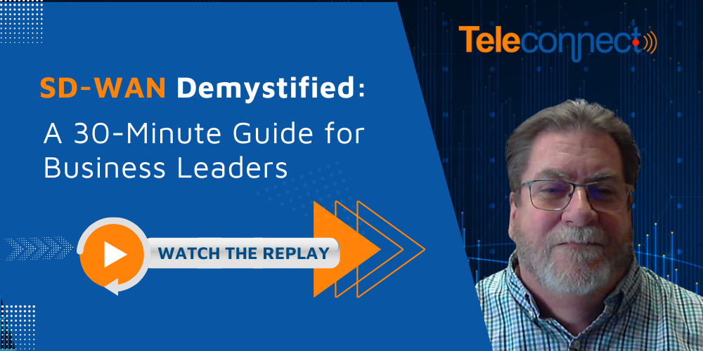 SD-WAN Demystified: A 30-Minute Guide for Business Leaders | The Video